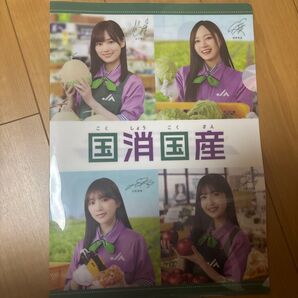 クリアファイル 乃木坂46