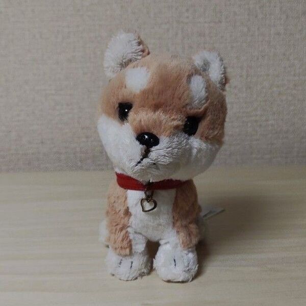 PUPS! パプス! ぬいぐるみ S 柴犬 BE (株)サンレモン