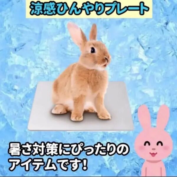 ウサギ モルモット 小動物 ひんやりアルミプレート 中サイズ Mサイズ