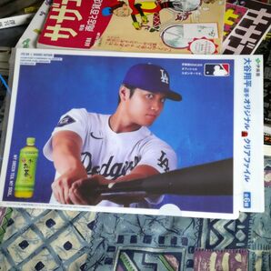 伊藤園期間限定 大谷翔平 クリアファイル2枚+ペットボトルカバー+2セット