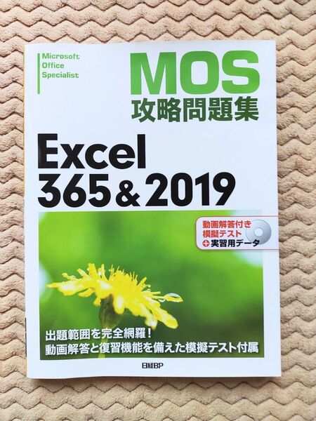 MOS攻略問題集Excel 365&2019 Microsoft Office Specialist 土岐順子/著