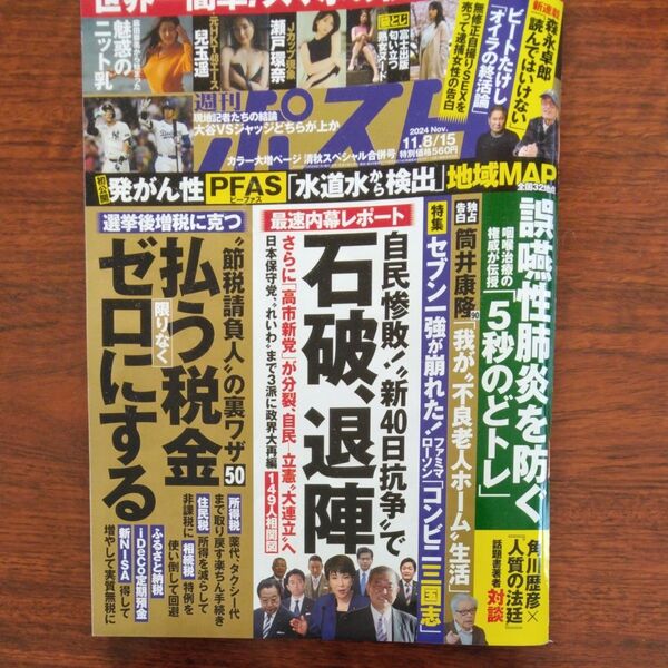 週刊ポスト 2024年11月15日号 (小学館)