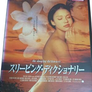 スリーピング・ディクショナリー