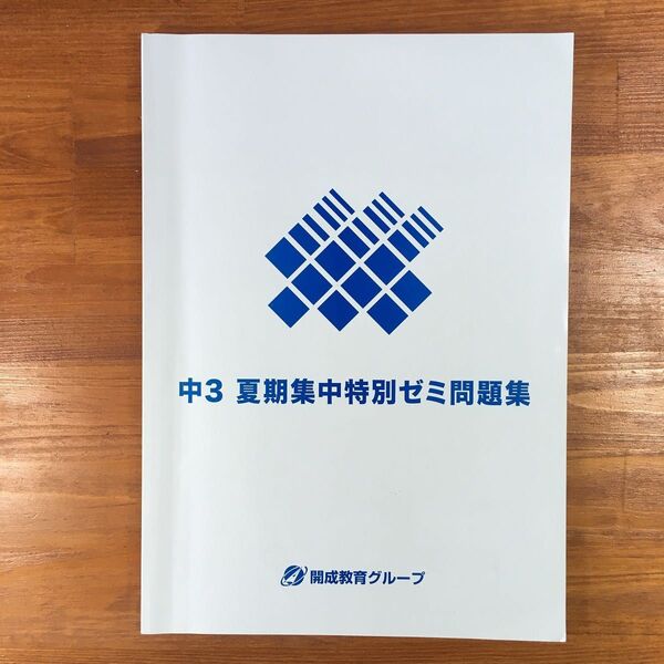 【送料無料】中3 夏期集中特別ゼミ問題集 ≪国・数・英・理・社≫ 解答解説付き 塾教材 中学