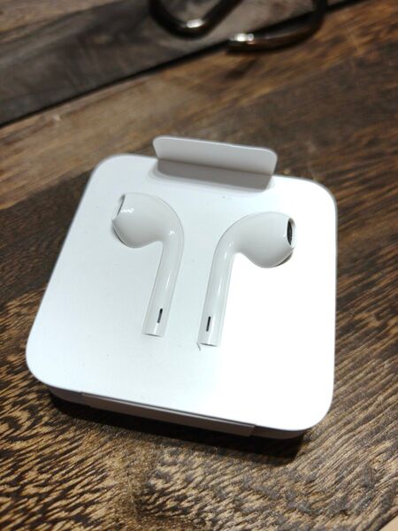 新品未使用 apple ライトニングイヤホン 24653