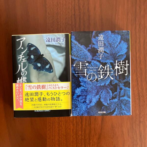 雪の鉄樹 ・アンチェルの蝶 遠田潤子 2冊セット