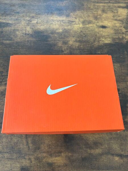 NIKE ダイナソー13cm