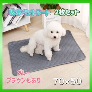 【2枚組】ペットシーツ ペットシート トイレマット おしっこシート 洗える 犬 猫 トイレシート ペットマット 洗濯可