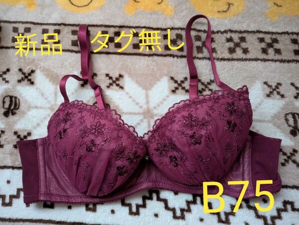 ブラジャー B75 ワイヤー有