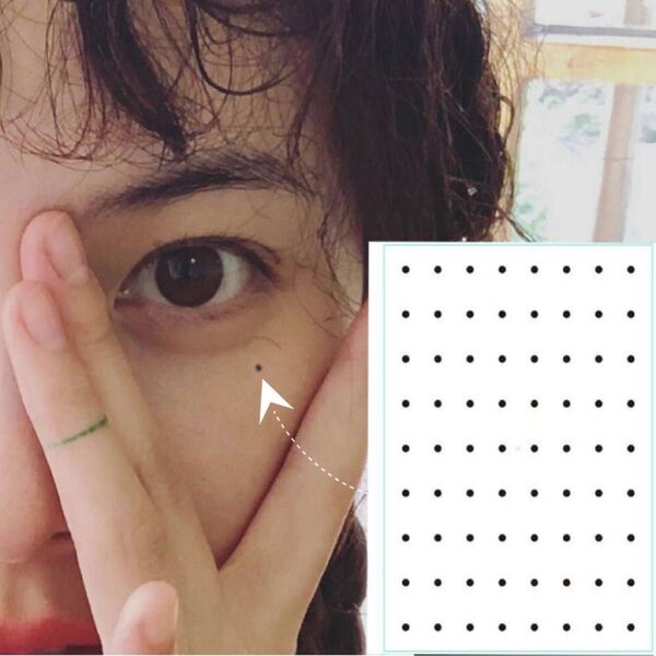ほくろ 黒子 タトゥー シール tattoo 長持ち お徳用