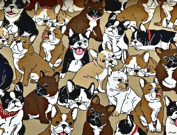 50~☆カフェベージュ フレンチブルドッグ 綿 コットンオックス 犬 フレブル ボストンテリア ワンコ 生地 tftfbIbl
