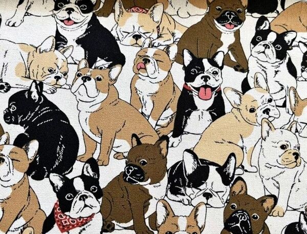 50~☆オフ白~生成 フレンチブルドッグ 綿 コットンオックス 犬 フレブル ボストンテリア ワンコ 生地 tftfbIbl