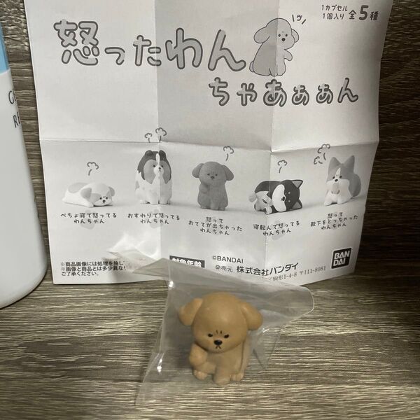 怒ったわんちゃあぁぁん ガチャ トイプードル
