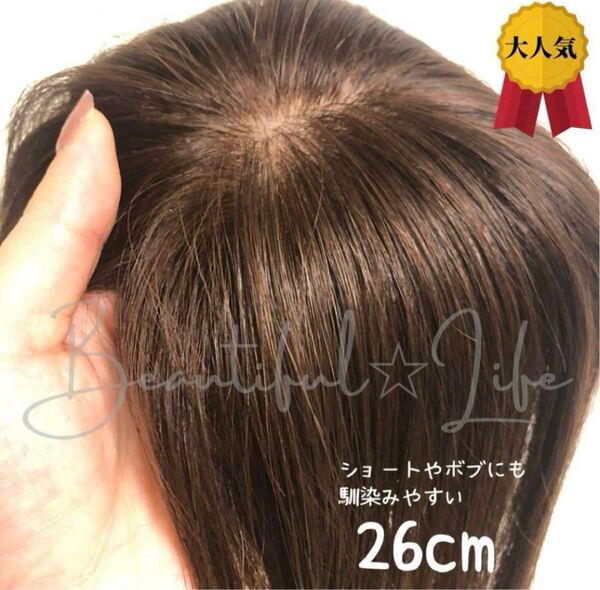 【26cmタイプ】前髪付き総手植え人毛100%ナチュラルブラウンヘアピース1