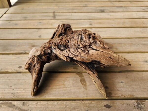 流木 自然な形状 トンネル形状 アクアリウム