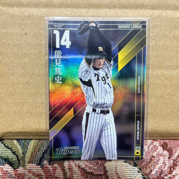 プロ野球 オーナーズリーグ OL17 GR能見篤史