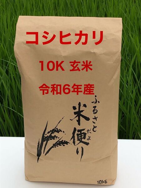 コシヒカリ 10K 玄米 茨城県産