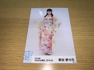 STU48 月別 ランダム生写真 2019.2月 netshop限定 新谷野々花 ヒキ