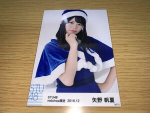 STU48 月別 ランダム生写真 2018.12月 netshop限定 矢野帆夏 チュウ