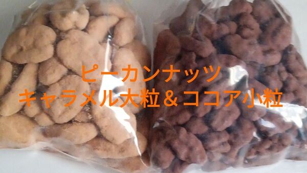 ピーカンナッツキャラメル大粒&ココア小粒 200g×2 大人気 アウトレット ナッツ チョコ