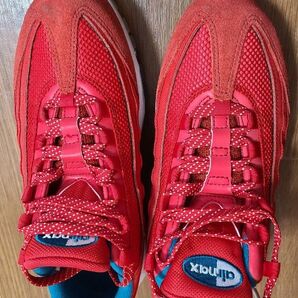 air max 95 エアーマックス95 Mt.Fuji 25cm