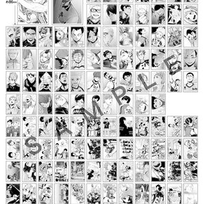 ハイキュー 10thクロニクル 思い出スナップフォトカード 全種類セット