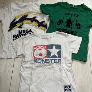 Tシャツ 半袖 ポケモン カブトムシ