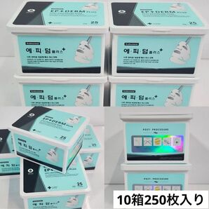【最新版】新品未使用 エピダーム プラスマスク 25枚入り 10箱セット 韓国