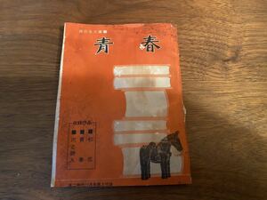 青春 高二時代 付録 昭和41年 旺文社 初恋 青春 川と詩人 ヴィクトルローゾフ 菅谷正彦 ウィリアムサローヤン