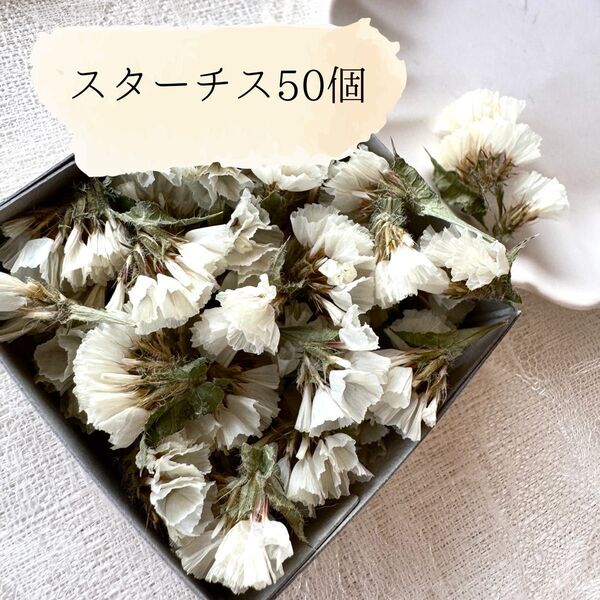 no2 スターチス(ホワイト)ドライフラワー50個
