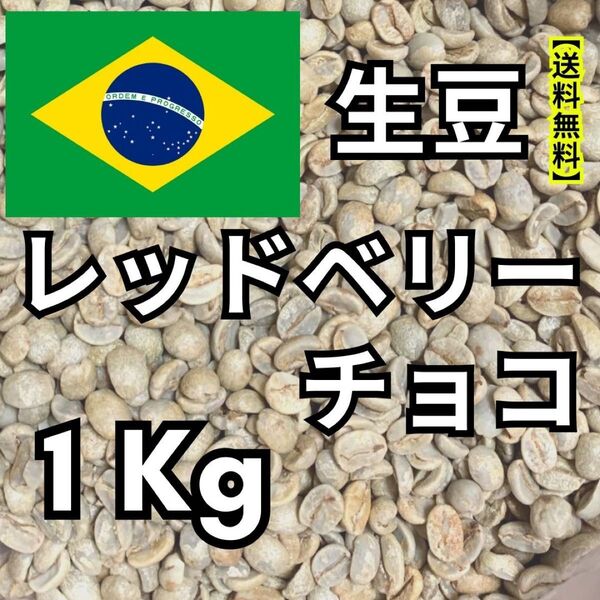 【24時間以内に発送】レッドベリーチョコ【生豆珈琲】【1Kg】【送料無料】