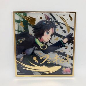 【美品】フジキセキ ウマ娘 プリティーダービー ビジュアルアートボード