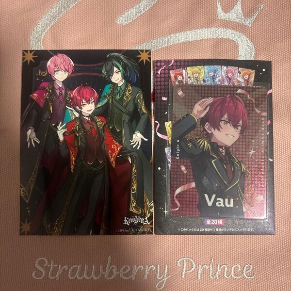 Knight A Vauさんランダムカードコレクション STPR Family Festival おまけ付き