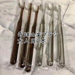 【即日発送】奇跡のハブラシ クリアブラック 6本セット