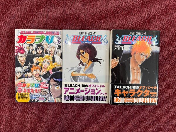BLEACH ブリーチ オフィシャル キャラクターブック アニメーションブック カラブリプラス 3冊セット 久保帯人 特典付