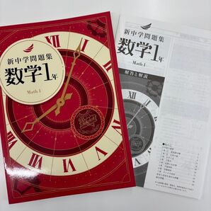 新中学問題集 数学1年 解答と解説