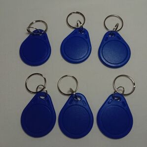 13.56MHz 読み取り専用 非接触型スマートトークンタグ エントリーアクセスコントロールシステム用 ブルー 6パック