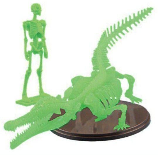 フィギュア マチカネワニ プラモデル 1/35 骸骨プラモデル付き アクリルスタンド おまけつき