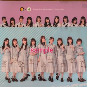 日向坂46 ココ壱 クリアファイル2枚