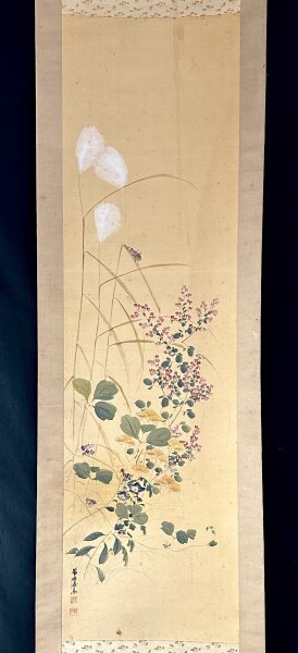 2025年最新】Yahoo!オークション -秋草 掛け軸の中古品・新品 2025年最新】Yahoo!オークション -秋草 掛け軸の中古品・新品