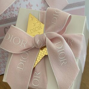 SALE終了 ディオール ショルダー付きかごポーチ