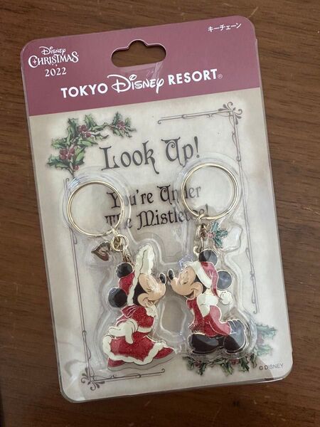 ディズニー TDR キーチェーン ファスナーマスコット ミッキー ミニー キーホルダー