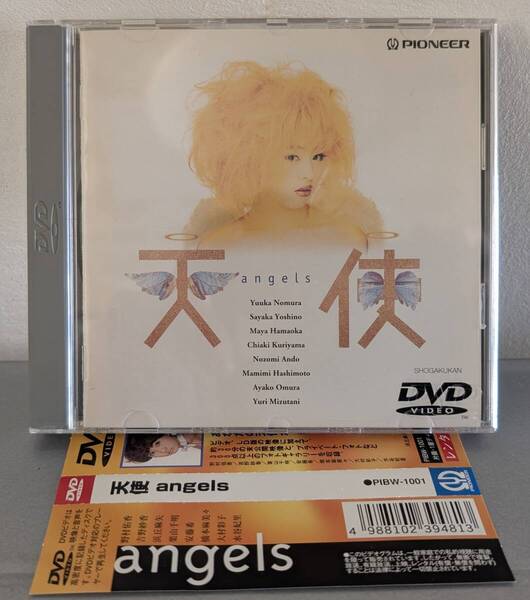 DVD 天使 Angels 野村佑香 浜丘麻矢 安藤希 栗山千明 阪野高光(監督) Pioneer パイオニア