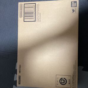 METAL BUILD ストフリ用 光の翼オプション2セット