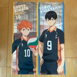 【ハイキュー】ポスター10枚 51cm×8cm