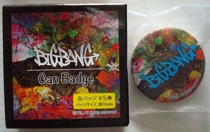 最終値下げ　VI from BIGBAN 　缶バッジ 　スンリ