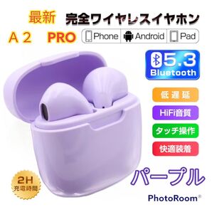 パープルワイヤレスイヤホン Bluetooth5.3 イヤホン インナーイヤー型