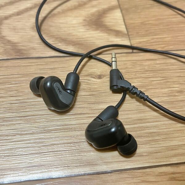 radius Ne HP-DHR01R イヤホン