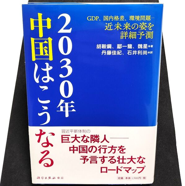2030年中国はこうなる GDP、国内格差、環境問題…近未来の姿を詳細予測 胡鞍鋼/著 【エン】一龍/著 魏星/著