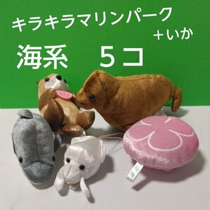 海系 ぬいぐるみ イルカ、いか、トド?.ラッコ、クラゲ